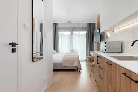 Kitchen or kitchenette, Living room, Photo of the whole room