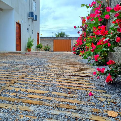 Garden, Garden view