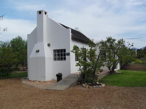 Patio, Garden, Garden view