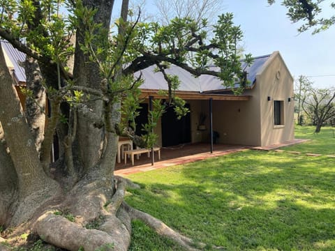 Property building, Spring, Day, Natural landscape, Garden
