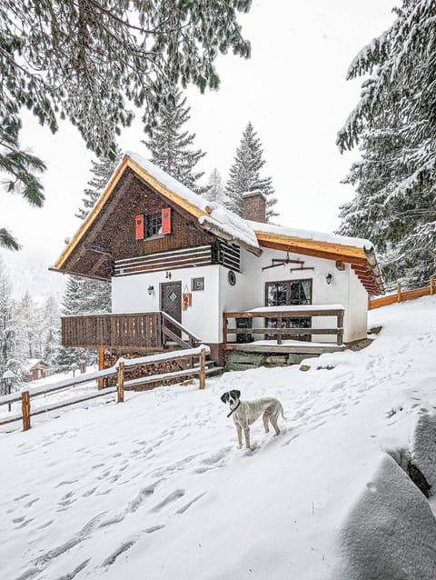 Property building, Winter, Garden, Garden, Garden view, Garden view