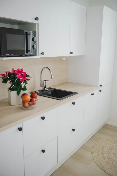 3 Bedroom Nordic Timber Home Apartment in Finland