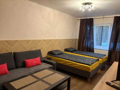 Bed, Living room, Photo of the whole room, Seating area, Bedroom