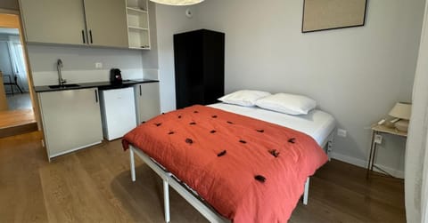 M071 Marquer Joli Studio cozy Apartment in Annemasse