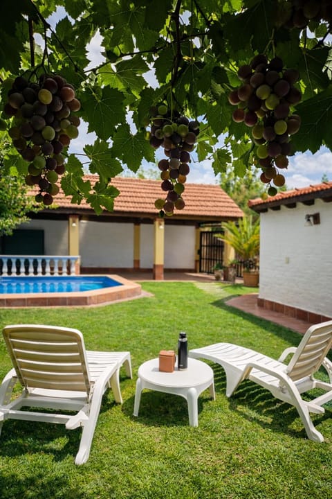 Patio, Garden, Swimming pool
