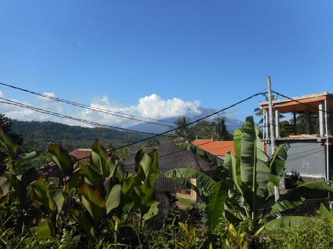 Lila Stana - Sidemen Homestay Bed and Breakfast in Sidemen