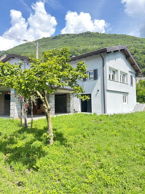 Property building, Day, Garden, Garden view