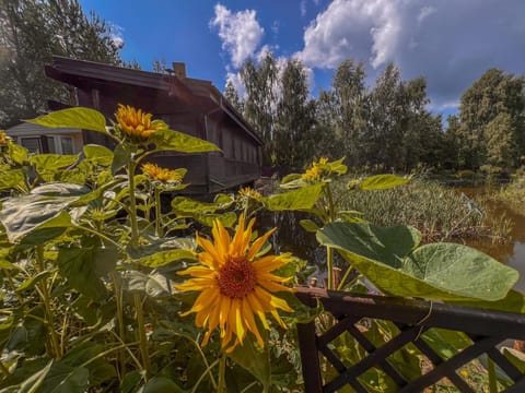 Property building, Day, Garden