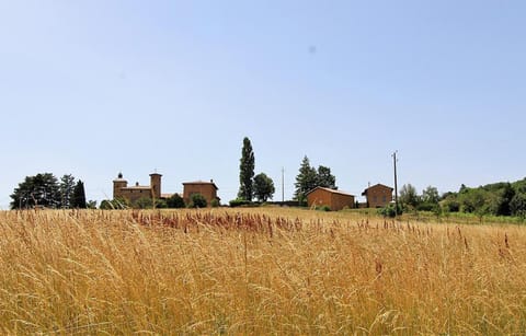Natural landscape