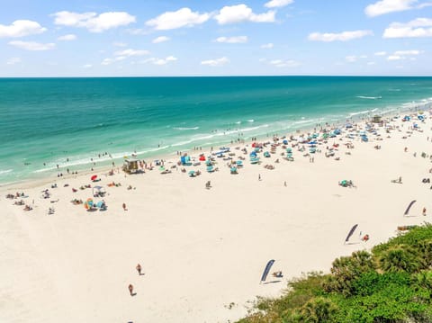 Island Hopping House in Lido Key