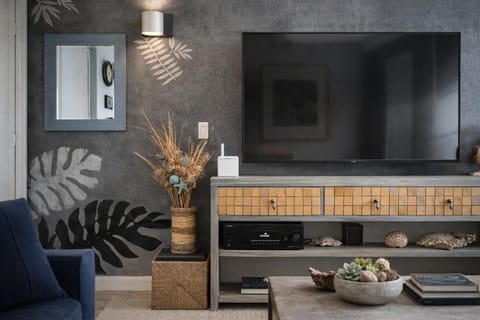 TV and multimedia