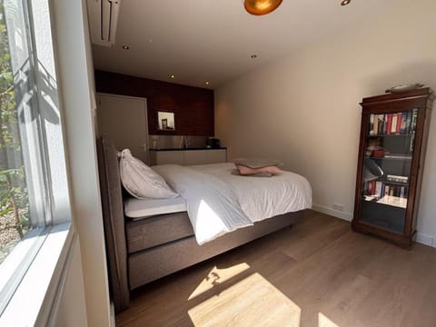 Bed, Library, Bedroom