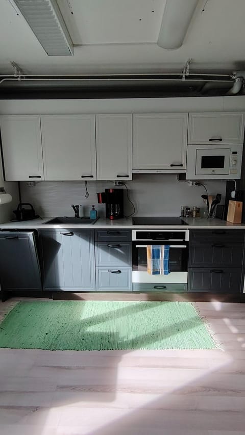 Tilava asunto vanhalla koululla Apartment in Finland