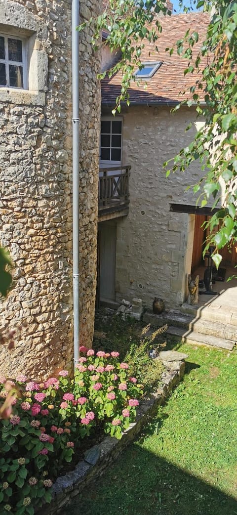 Property building, Garden view