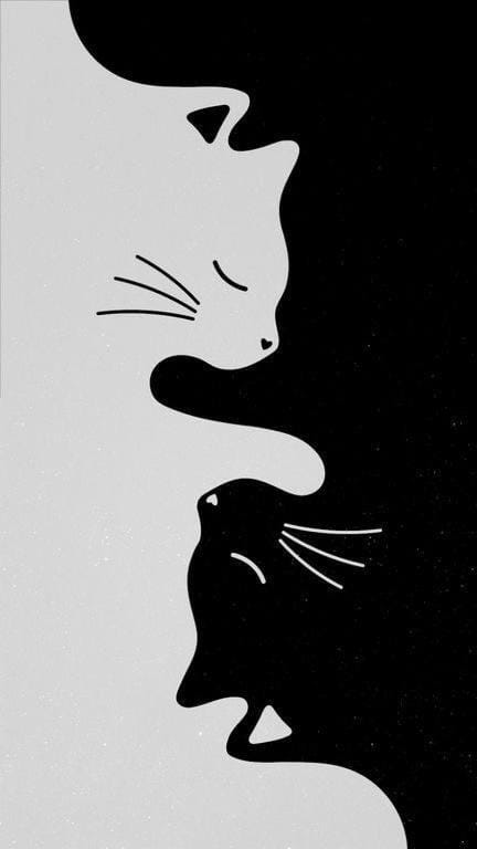 Pita Apartment in Pisa