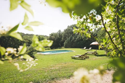 Spring, Day, Natural landscape, Garden, Garden view, Pool view, Swimming pool, sunbed