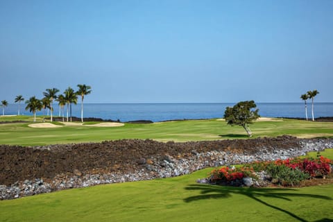 Hali’i Kai 11A on the Big Island Apartment in Puako