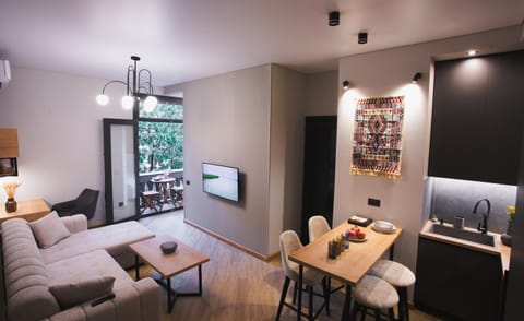 TV and multimedia, Living room, Photo of the whole room, Seating area, Dining area
