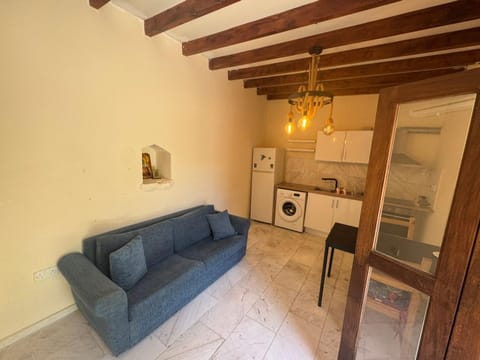 Living room, washing machine