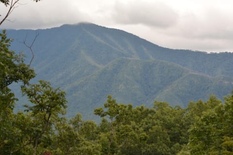 Mountain Escape Chalet House in Gatlinburg
