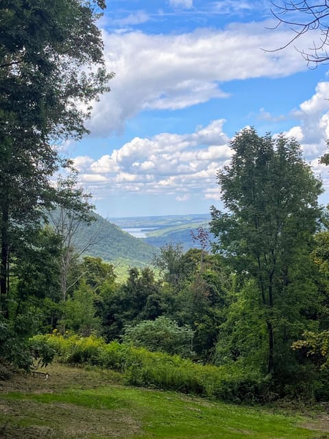 Wildwood Wander Nature lodge in Finger Lakes