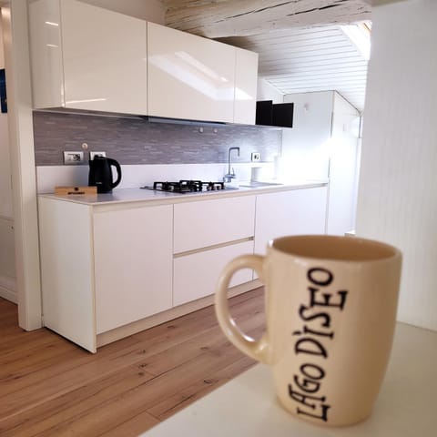 Attico sul lago Mountain Lake Iseo Hospitality Apartment in Lovere