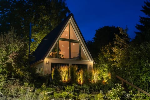 Property building, Night, Natural landscape, Garden, Garden view