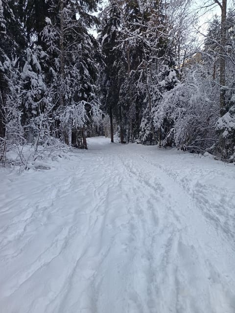 Les Contamines Montjoie Apartment in Les Contamines-Montjoie