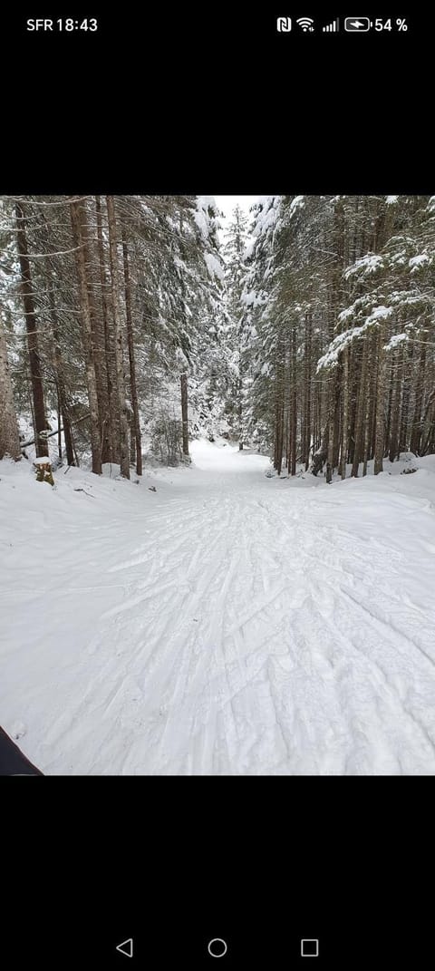 Natural landscape, Winter