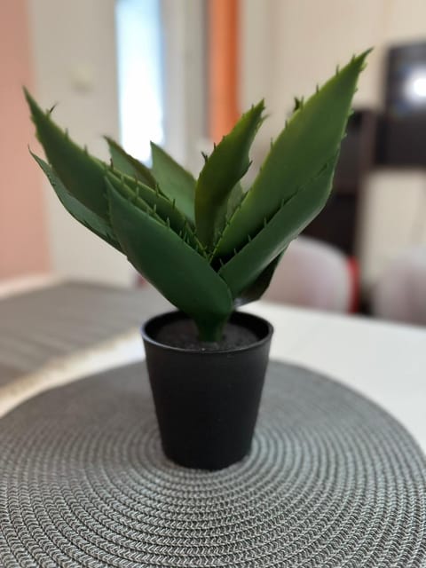 Апартамент Мони Apartment in Veliko Tarnovo