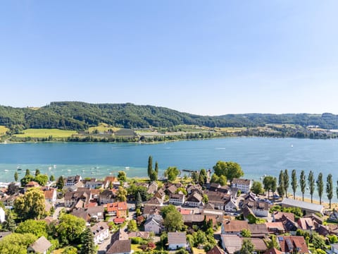 Bird's eye view, Lake view