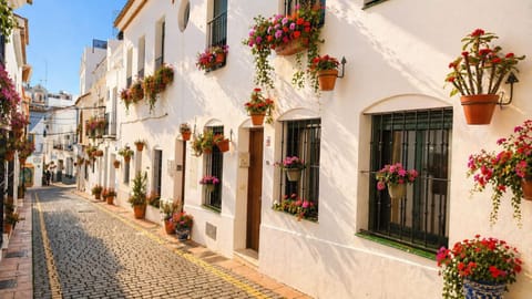 Property building, Spring, Day, Neighbourhood, Street view, Location