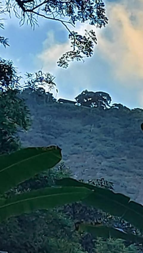 Camping São Conrado com cachoeira exclusiva, perto da praia e da Pedra Bonita Campground/ 
RV Resort in Rio de Janeiro