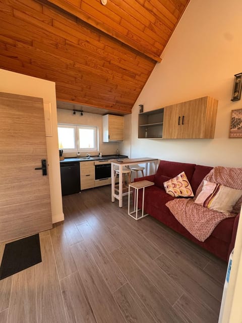 Kitchen or kitchenette, Living room