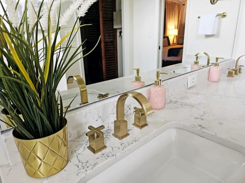 Serene Pool Oasis Tampa Vacation Villa in Temple Terrace