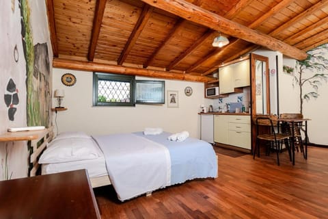 Bed, Kitchen or kitchenette, Photo of the whole room, Bedroom