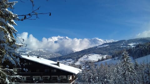 AP-37 La Grande Cordée Combloux Apartment in Combloux
