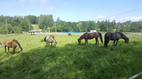 Tranquil Apartment in Vantaa Apartment in Helsinki