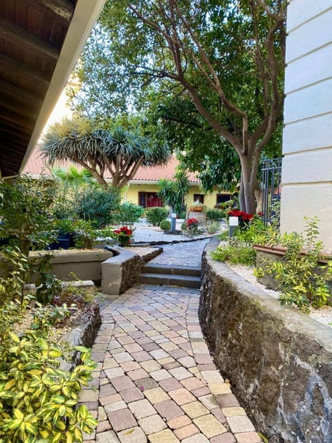 Patio, Spring, Garden, Garden view