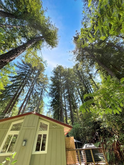 Property building, Natural landscape, View (from property/room)