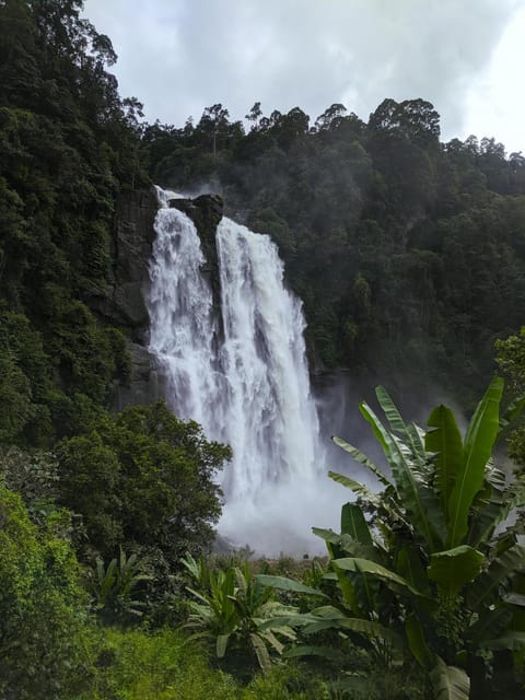 Natural landscape