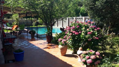 Day, Swimming pool