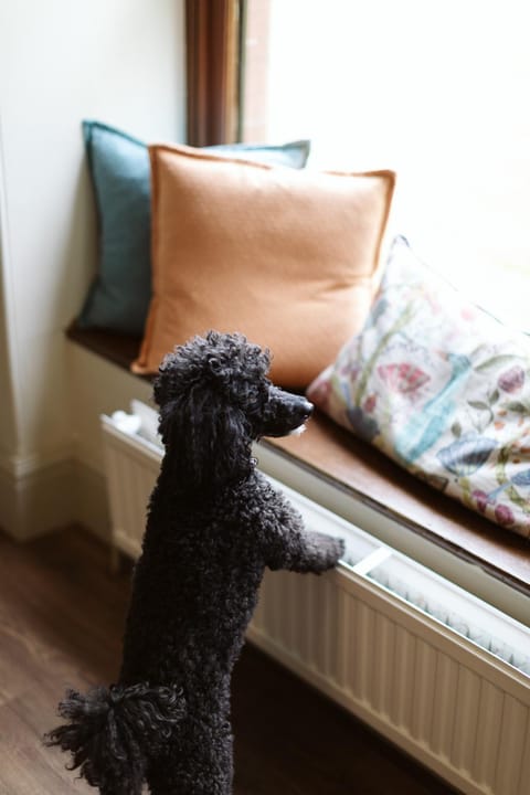 The Coach House House in England