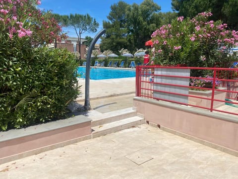 Pool view, Swimming pool