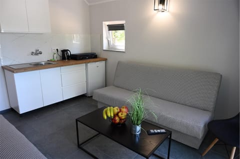 Kitchen or kitchenette, Bedroom