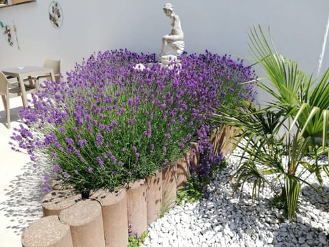 Kokodor Bed and Breakfast in De Haan