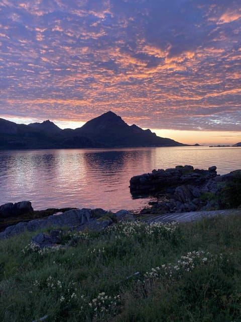 Midnight-sun and Northern-lights house by ocean House in Lofoten