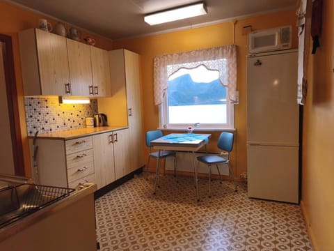 Midnight-sun and Northern-lights house by ocean House in Lofoten