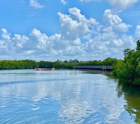 Vacation Villa in Tampa 17 Guest Villa in Town N Country