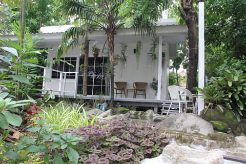 Property building, Garden